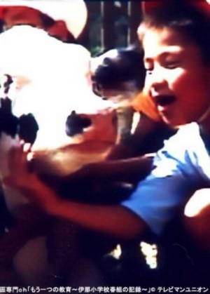 Lessons from a Calf