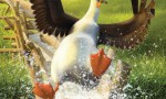 Al aire, patos
