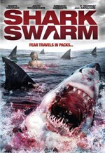 Alerta tiburones