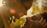 American Honey