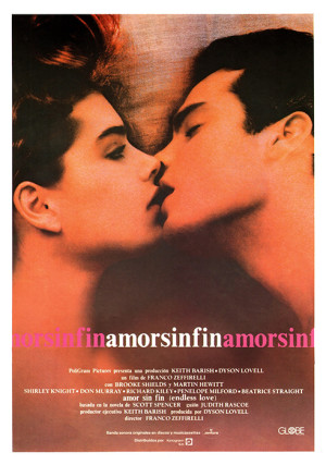 Amor sin fin (1981)