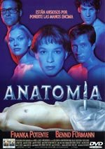 Anatomía