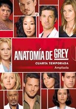 Anatomía de Grey (4ª temporada) (2007)