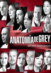 Anatomía de Grey (7ª temporada)