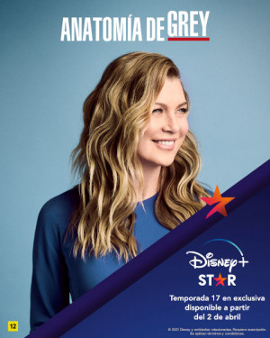 Anatomía de Grey (17ª temporada)  (2020)