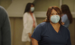 Anatomía de Grey (17ª temporada) 