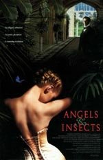 Ángeles & insectos (1995)