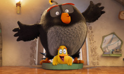 Angry Birds 3: La película