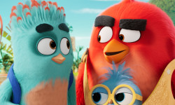 Angry Birds 3: La película