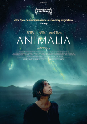 Animalia (2023)