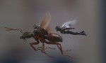 Ant-Man y la Avispa