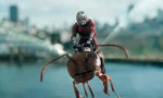 Ant-Man y la Avispa