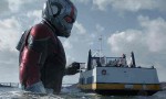 Ant-Man y la Avispa