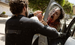 Apocalipsis Z: El principio del fin