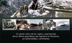 Arte al Agua. Los bacaladeros de Terranova
