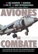 Aviones de combate (2004)