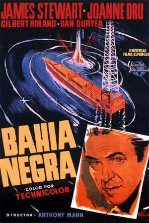 Bahía negra