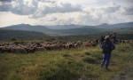 Barbacana, la huella del lobo