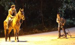 Big Bad Wolves