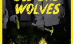 Big Bad Wolves