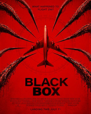 Black Box: Vuelo 298
