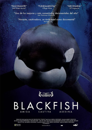 Blackfish