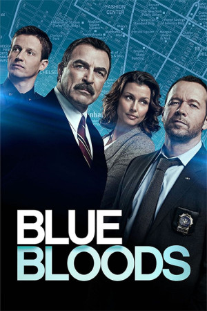 Blue Bloods (2ª temporada) (2011)