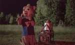 Brigsby Bear