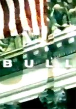 Bull