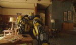 Bumblebee