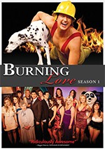 Burning Love (2012)