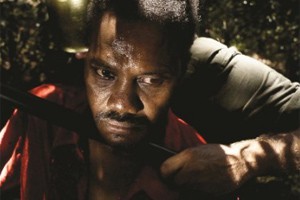 Caballo dinero foto crítica.