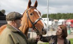 Caballo ganador