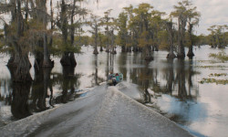 Caddo Lake