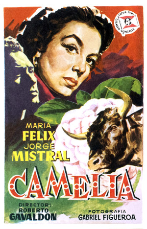 Camelia
