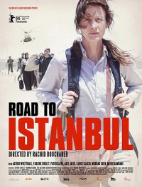 Camino a Estambul