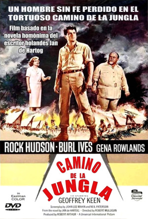 Camino de la jungla