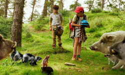Campamento Garra de Oso
