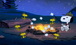 Campamento Snoopy (2ª temporada)
