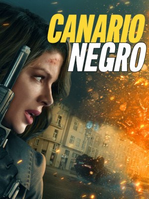 Canario negro