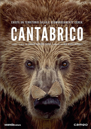Cantábrico. Los dominios del oso pardo