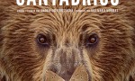 Cantábrico. Los dominios del oso pardo