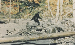 Capturing Bigfoot