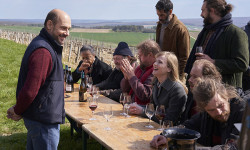 Cata de vinos