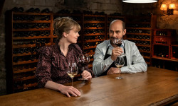 Cata de vinos