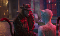 Cats