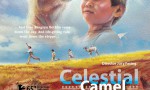 Celestial Camel