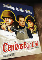 Cenizas bajo el sol