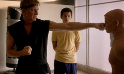 Cobra Kai