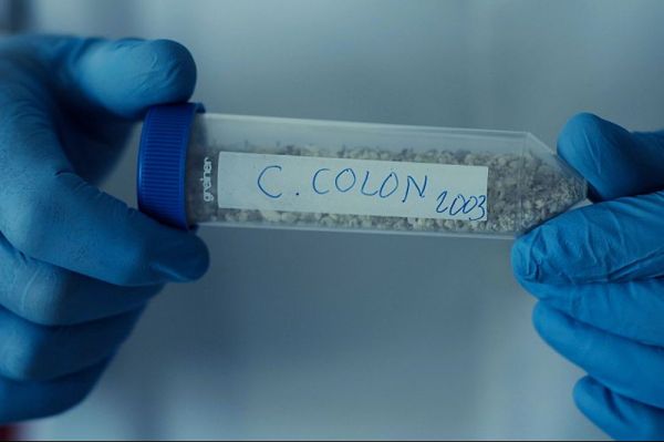 Colón ADN. Su verdadero origen foto crítica.